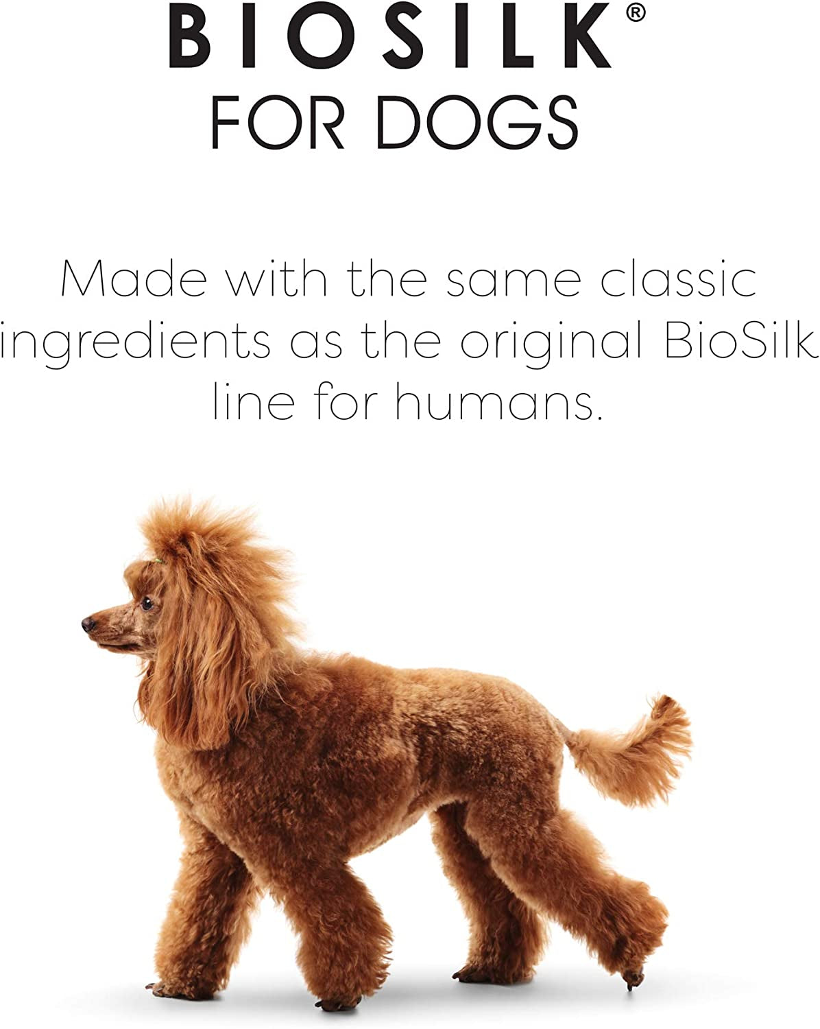 for Dogs Silk Therapy Dog Grooming Supplies, Coconut Oil - Dog Conditioner, Dog Shampoo, Puppy Shampoo, Pet Shampoo for Dogs Shampoo, Dog Wash, Dog Spray, Dog Detangler Spray, Pet Wash