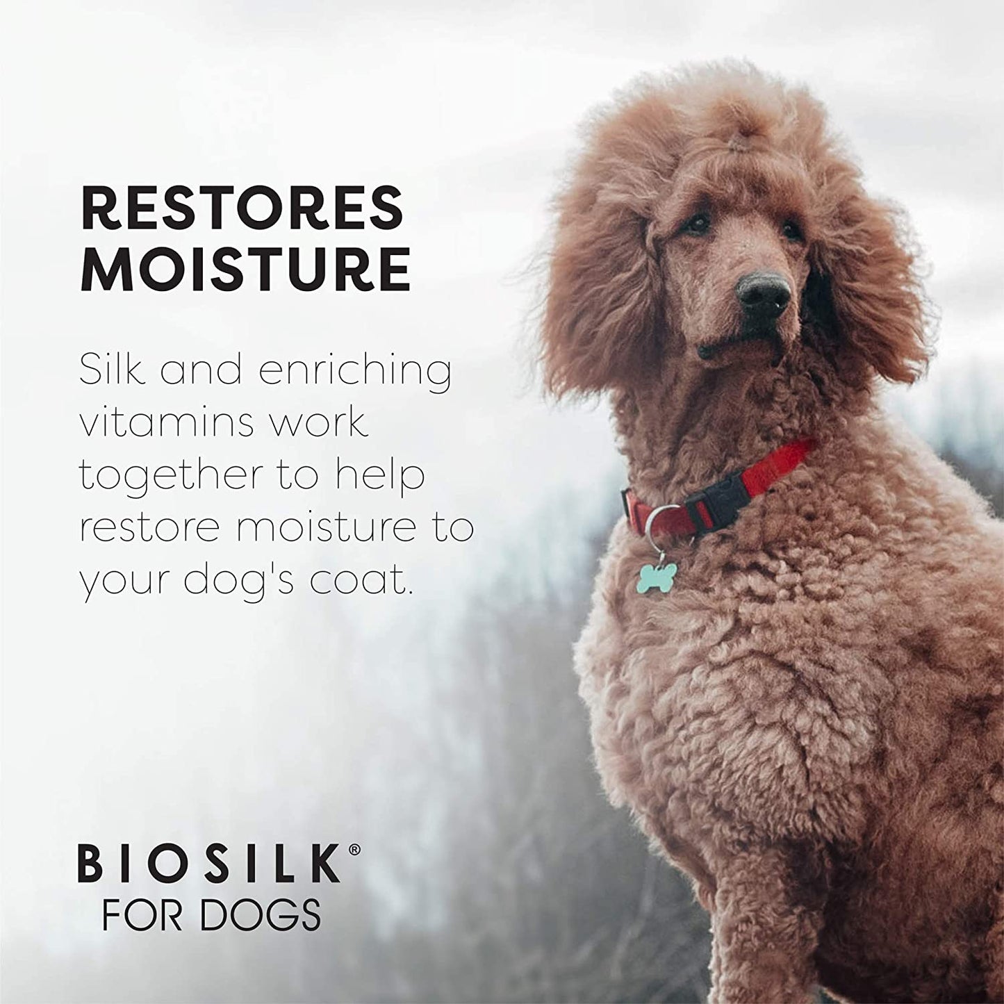 for Dogs Silk Therapy Dog Grooming Supplies, Coconut Oil - Dog Conditioner, Dog Shampoo, Puppy Shampoo, Pet Shampoo for Dogs Shampoo, Dog Wash, Dog Spray, Dog Detangler Spray, Pet Wash