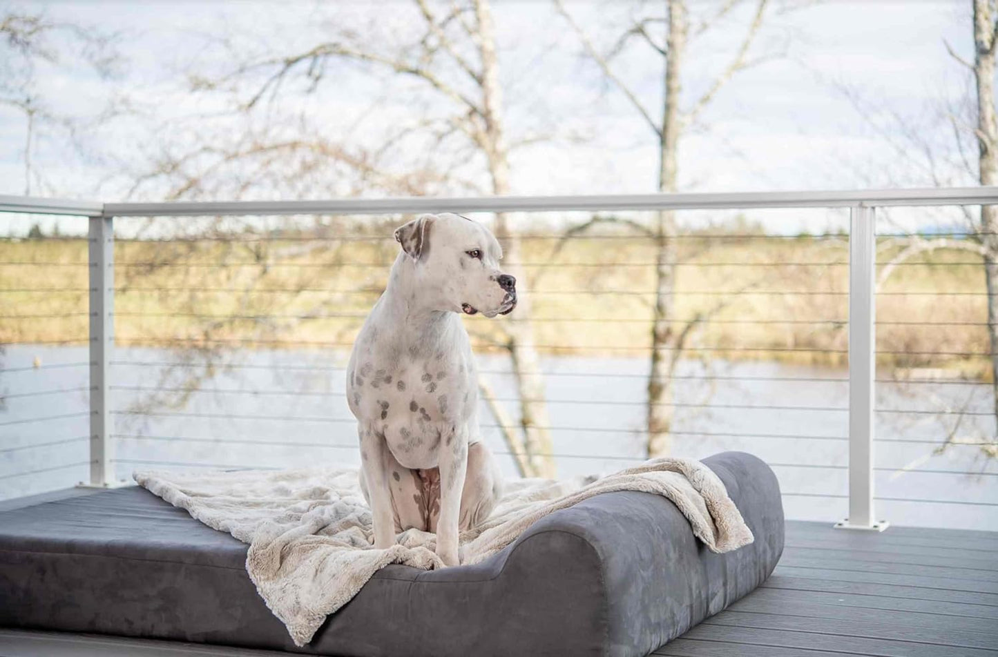 7" Pillow Top Orthopedic Dog Bed for Large and Extra Large Breed Dogs (Headrest Edition)
