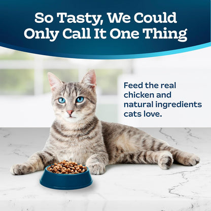 Sensitive Stomach Natural Adult Dry Cat Food, Chicken & Brown Rice