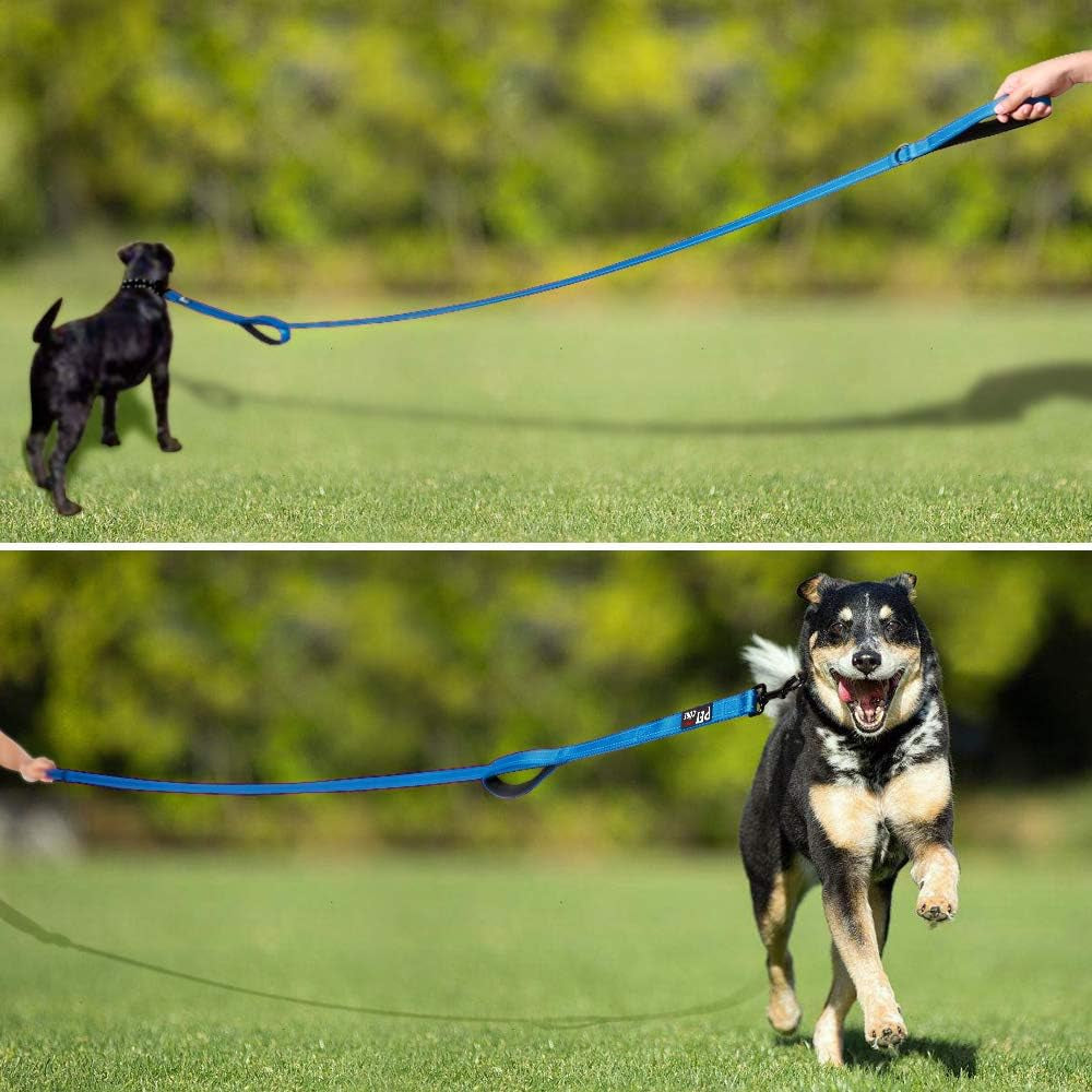 Dog Leash 6Ft Long,Traffic Padded Two Handle,Heavy Duty,Reflective Double Handles Lead for Control Safety Training,Leashes for Large Dogs or Medium Dogs,Dual Handles Leads(Light Blue)