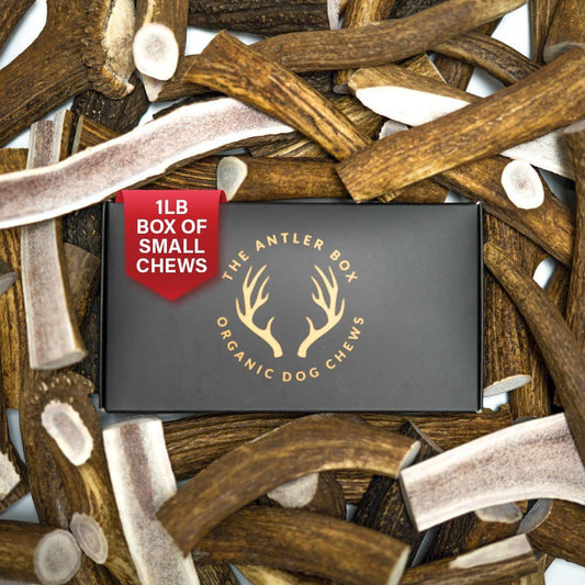 Premium Elk Antler Dog Chews (1 Pound Box) (Small (7-8 Pieces) Whole/Split Mixed)