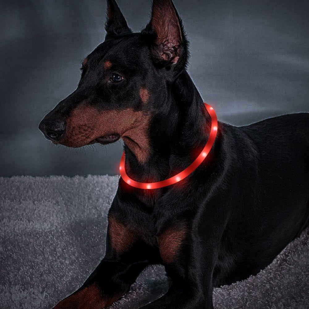 LED Dog Collar - USB Rechargeable LED Dog Necklace - Glowing Dog Collar Light for Your Small Medium Large Dogs