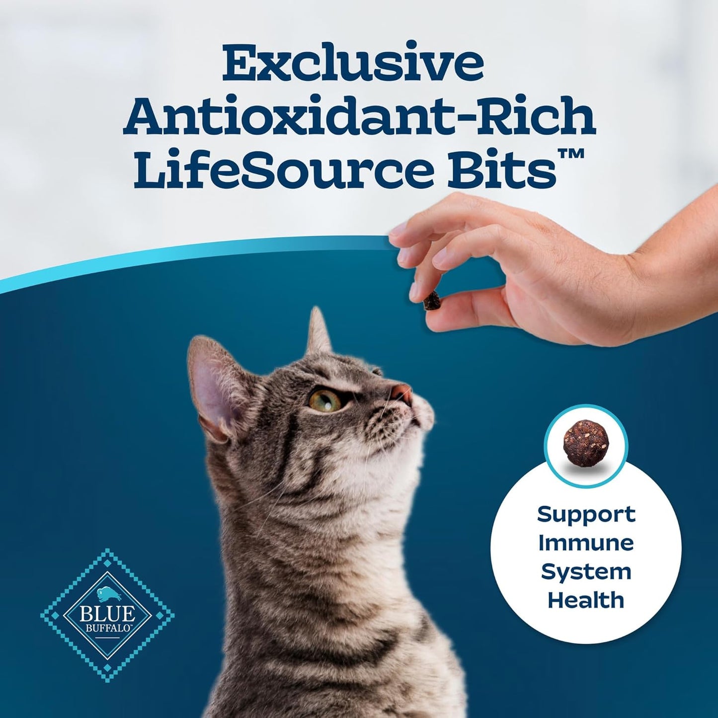 Sensitive Stomach Natural Adult Dry Cat Food, Chicken & Brown Rice