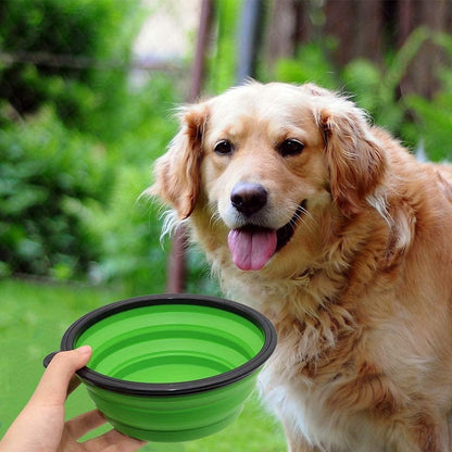 Collapsible Dog Bowl, 2 Pack Collapsible Dog Water Bowls for Cats Dogs, Portable Pet Feeding Watering Dish for Walking Parking Traveling with 2 Carabiners